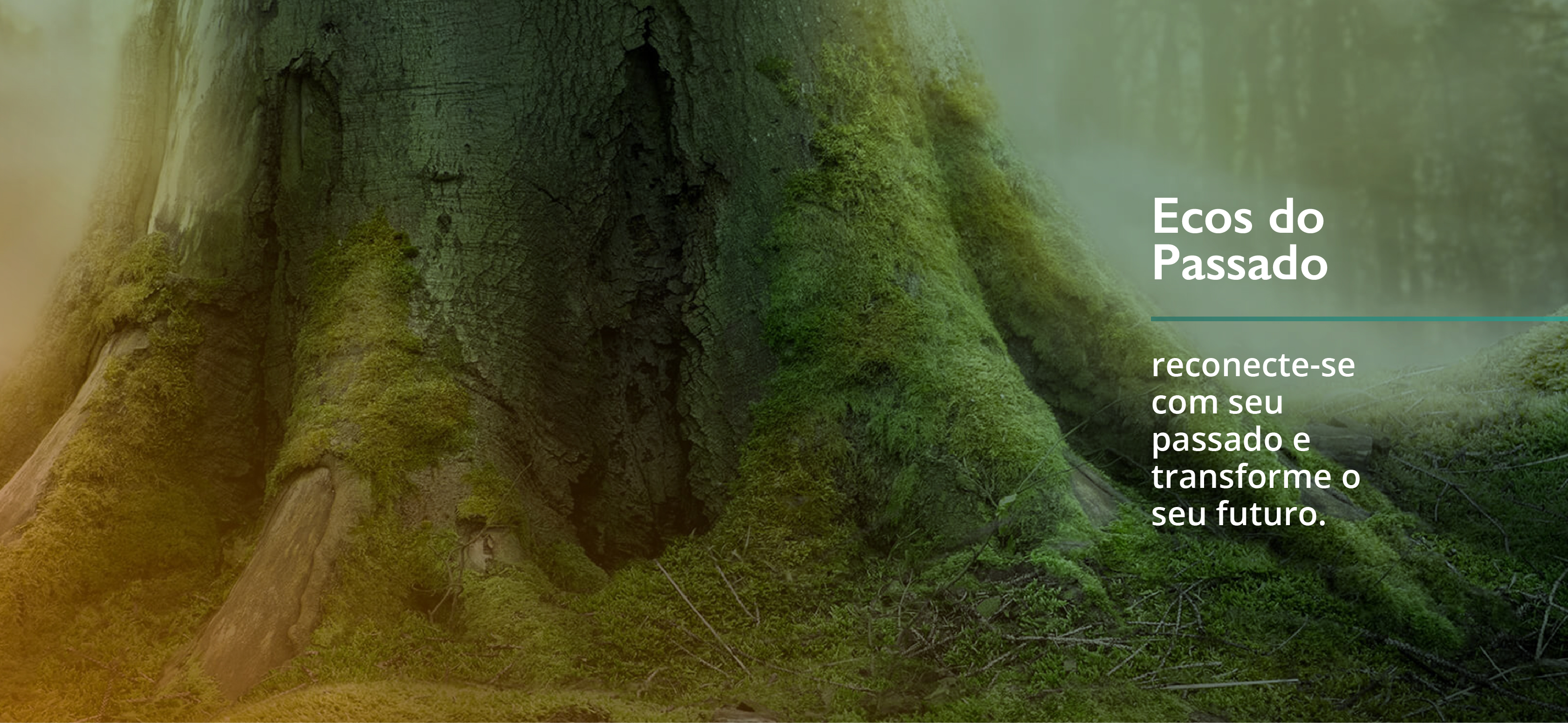 imagem de uma arvore. Representa o
treinamento Ecos do Passado